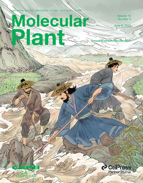 影响因子四度蝉联国内榜首细分领域全球夺冠上海期刊向“高原万里”挺进(图6) 影响因子四度蝉联国内榜首细分领域全球夺冠上海期刊向“高原万里”挺进(图6)