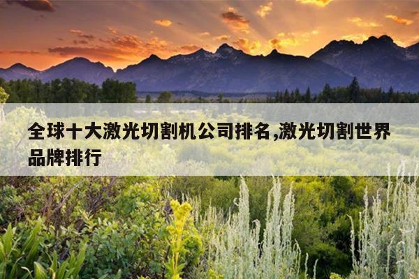 全球十大激光切割机公司排名激光切割世界品牌排行
