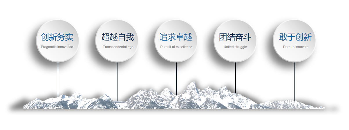 公司介绍